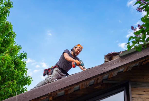 Best Roof Moss and Algae Removal  in Coats Bend, AL
