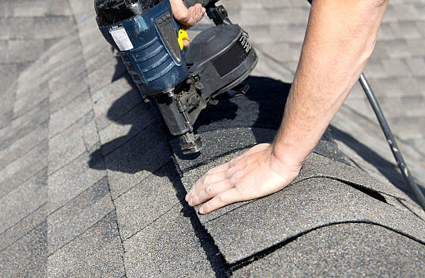 Best Roof Ventilation Installation  in Coats Bend, AL